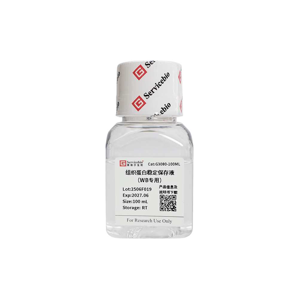 Servicebio Tissue Protein Stabilizing Solution (WB only) - Servicebio ...
